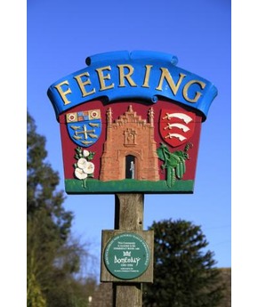 Feering